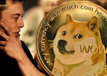 Giá Dogecoin qua các năm - Giá Dogecoin cao nhất là bao nhiêu?