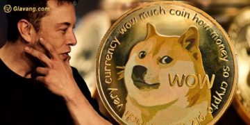 Giá Dogecoin qua các năm - Giá Dogecoin cao nhất là bao nhiêu? 9 Giá Dogecoin qua các năm - Giá Dogecoin cao nhất là bao nhiêu?