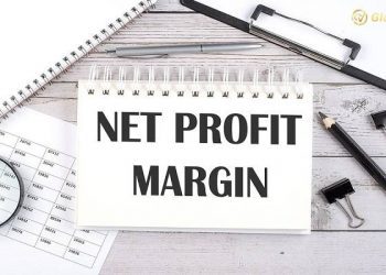 Tỷ suất lợi nhuận ròng - Net Profit Margin là gì? Ý nghĩa và công thức tính 7 Tỷ suất lợi nhuận ròng - Net Profit Margin là gì? Ý nghĩa và công thức tính