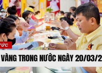 Giá vàng trong nước hôm nay 20/03/2025: Nhẫn trơn Bảo Tín Minh Châu tăng vọt lên 100 triệu đồng/lượng