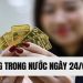Giá vàng trong nước hôm nay 24/03/2025: Tạm ngừng đà giảm 9 Giá vàng trong nước hôm nay 24/03/2025: Tạm ngừng đà giảm