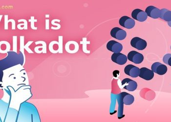 Polkadot (DOT) là gì? Mua, bán DOT coin ở đâu? Tỷ giá DOT coin hôm nay?