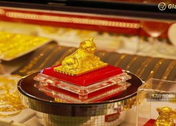Giá vàng trong nước hôm nay 05/06/2025: Bất động