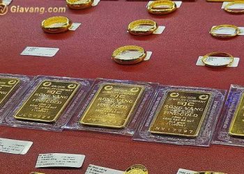 Giá vàng trong nước hôm nay 10/07/2025: Vàng SJC rớt giá thê thảm, rơi tự do về 120,6 triệu đồng/lượng