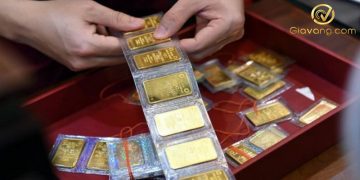 Giá vàng trong nước hôm nay 14/08/2025: Vàng miếng SJC tăng lên mức 124,2 triệu đồng/lượng 7 Giá vàng trong nước hôm nay 14/08/2025: Vàng miếng SJC tăng lên mức 124,2 triệu đồng/lượng