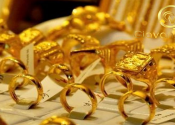 Giá vàng trong nước hôm nay 24/09/2025: Đồng loạt ''Tăng vọt''