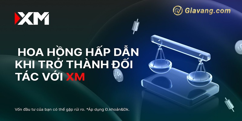 Phi hoa hong san XM