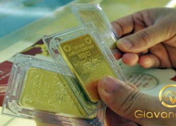 Giá vàng trong nước hôm nay 03/10/2025: Giảm lao dốc