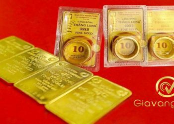 Giá vàng trong nước hôm nay 24/10/2025: Vàng miếng và vàng nhẫn bật tăng trở lại 6 Giá vàng trong nước hôm nay 24/10/2025: Vàng miếng và vàng nhẫn bật tăng trở lại