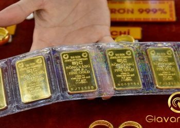 Giá vàng trong nước hôm nay 10/11/2025: Ổn định ở phiên giao dịch đầu tuần