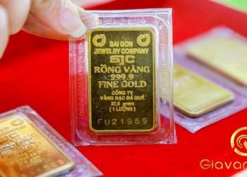 Giá vàng trong nước hôm nay 05/11/2025: Đồng loạt giảm