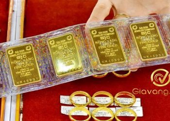 Giá vàng trong nước hôm nay 29/11/2025: Đồng loạt tăng mạnh