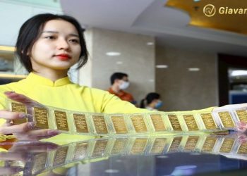 Giá vàng trong nước hôm nay 15/12/2025: SJC neo ở mốc 156,3 triệu đồng/lượng 4 Giá vàng trong nước hôm nay 15/12/2025: SJC neo ở mốc 156,3 triệu đồng/lượng