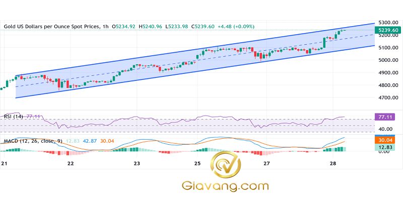 Phân tích giá vàng ngày 28/01/2026: Giá vàng tiếp tục tăng không ngừng nghỉ do nhu cầu tìm kiếm nơi trú ẩn an toàn khi quyết định về lãi suất của Cục Dự trữ Liên bang (Fed) sắp được đưa ra. 3 Bieu do gia vang hang ngay compressed 21