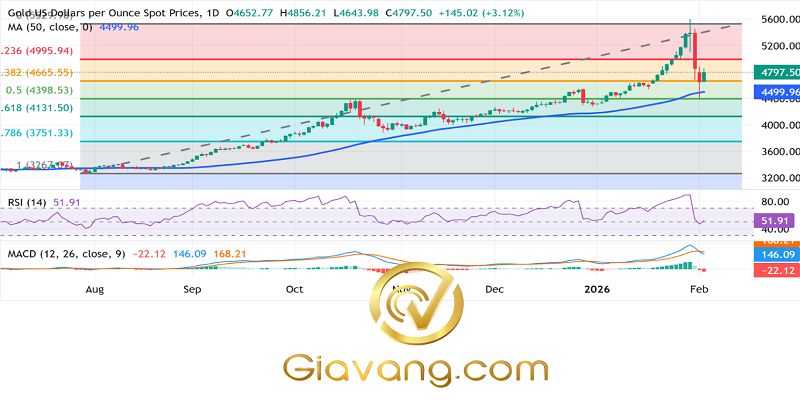 Phân tích giá vàng ngày 03/02/2026: Giá vàng duy trì mức tăng trên 4.800 USD khi đồng USD yếu hơn bù đắp cho sự giảm bớt căng thẳng địa chính trị. 3 Bieu do gia vang hang ngay compressed 25