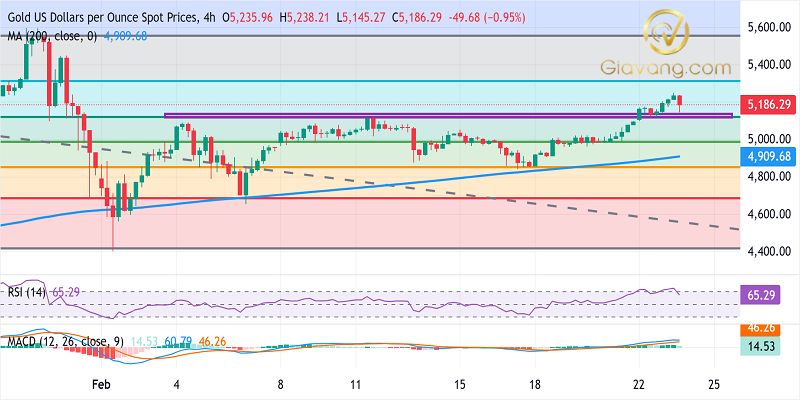 Phân tích giá vàng ngày 24/02/2026: XAU/USD giảm từ mức đỉnh tháng do đồng USD mạnh lên 3 Bieu do gia vang ngay 24 02 2026