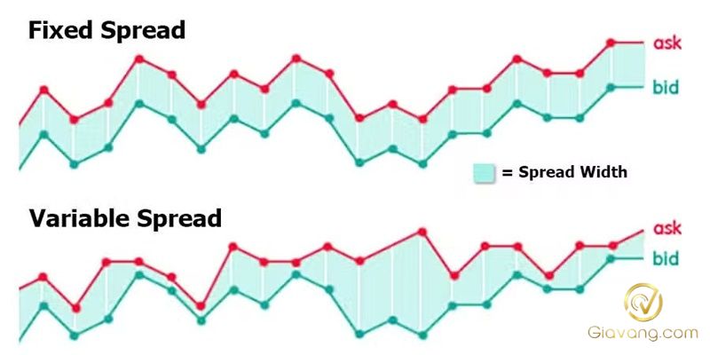 Spread là gì trong Forex? Hiểu rõ để tránh mất tiền vì chênh lệch giá 5 Cac loai spread trong