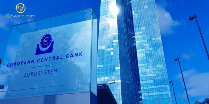 Central Bank vs Forex: Mối quan hệ và tác động đến thị trường ngoại hối 3 Central Bank la gi