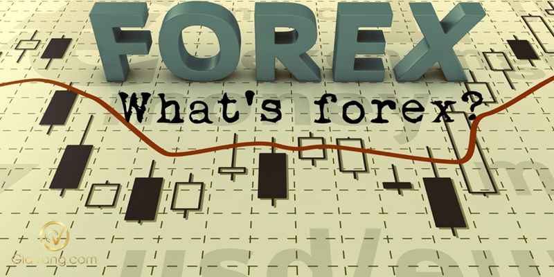 Forex vs Chứng khoán: Phân tích ưu - nhược điểm của 2 loại hình đầu tư cho trader 3 Forex la gi 2