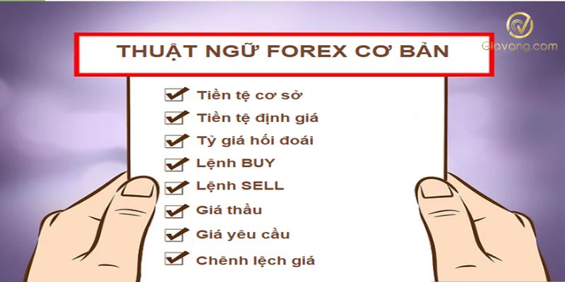 Giao dịch Forex là gì? Cách mở lệnh và đóng lệnh đúng cách 4 Nhung khai niem co ban can biet khi giao dich