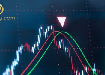 Các đường MA cắt nhau là gì? Cách giao dịch MA crossover hiệu quả