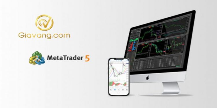 Cách Cài Đặt MT5 Chi Tiết Cho Người Mới (Hướng Dẫn Tải MetaTrader 5 Từ A-Z)