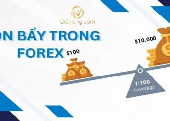 Đòn bẩy Forex bao nhiêu là hợp lý? Cách chọn mức tối ưu để tránh cháy tài khoản
