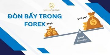 Đòn bẩy Forex bao nhiêu là hợp lý? Cách chọn mức tối ưu để tránh cháy tài khoản
