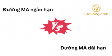 Đường MA ngắn hạn vs dài hạn: Sự khác biệt và cách sử dụng hiệu quả