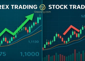 Forex vs Chứng khoán: Phân tích ưu - nhược điểm của 2 loại hình đầu tư cho trader