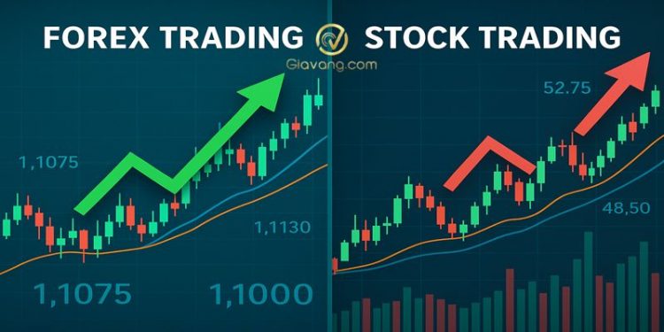Forex vs Chứng khoán: Phân tích ưu - nhược điểm của 2 loại hình đầu tư cho trader