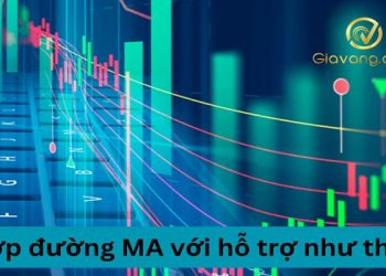Kết hợp đường MA với hỗ trợ như thế nào? Chiến lược giao dịch hiệu quả