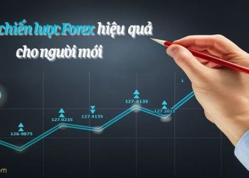 Top 5 chiến lược Forex hiệu quả cho người mới