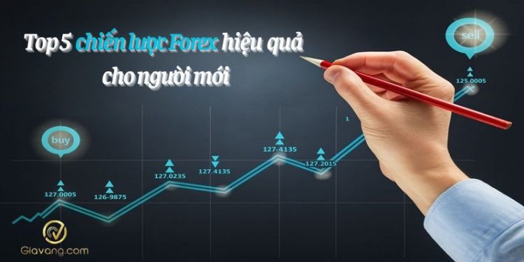 Top 5 chiến lược Forex hiệu quả cho người mới