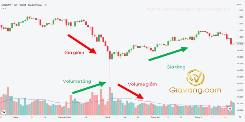 Volume MA là gì? Cách sử dụng Moving Average Volume hiệu quả trong trading 5 volume ma compressed