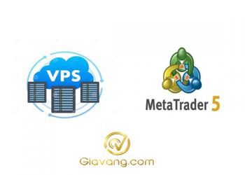 VPS cho MT5 là gì? Hướng dẫn chọn và sử dụng VPS trading hiệu quả từ A-Z
