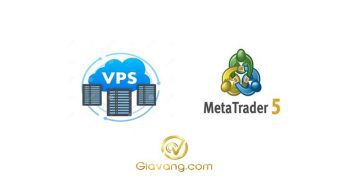 VPS cho MT5 là gì? Hướng dẫn chọn và sử dụng VPS trading hiệu quả từ A-Z
