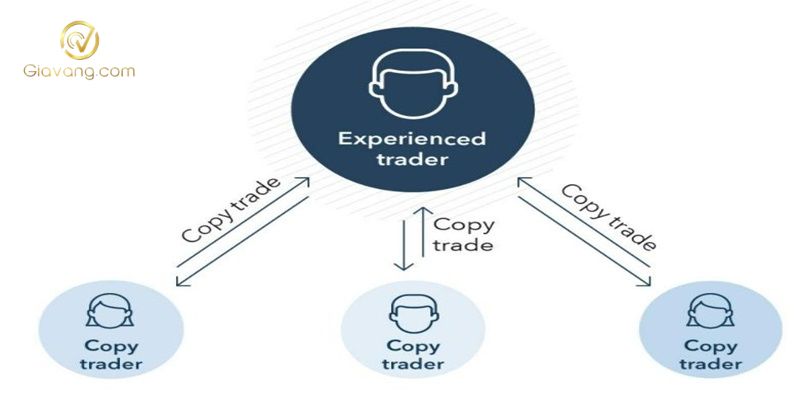 Giao dịch tự động trong Forex và tất tần tật những điều bạn cần biết 5 Copy Trading