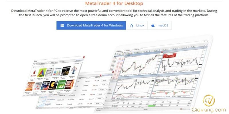Hướng dẫn cách tải MT4 cho người mới bắt đầu 5 Nhap vao nut Download MetaTrader 4 for PC