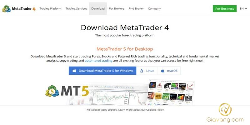 Hướng dẫn cách tải MT4 cho người mới bắt đầu 4 Truy cap trang web Metatrader4