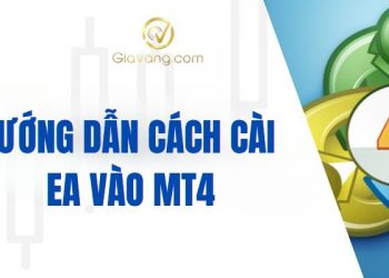 Hướng dẫn cách cài EA vào MT4 đơn giản, nhanh chóng 6 Hướng dẫn cách cài EA vào MT4 đơn giản, nhanh chóng