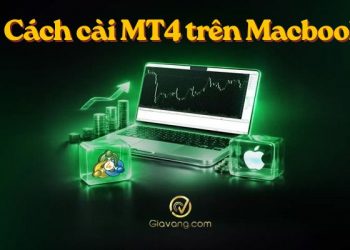 Hướng dẫn cách cài cài MT4 trên Macbook chi tiết