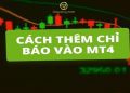 Hướng dẫn cách thêm indicator vào MT4 đầy đủ và chi tiết nhất
