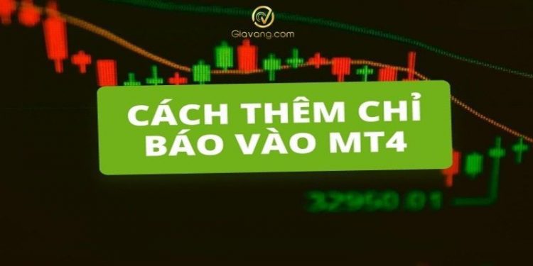 Hướng dẫn cách thêm indicator vào MT4 đầy đủ và chi tiết nhất