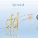 CFD với Spread là gì? Cách hiểu và tối ưu chi phí giao dịch hiệu quả 9 CFD với Spread là gì? Cách hiểu và tối ưu chi phí giao dịch hiệu quả