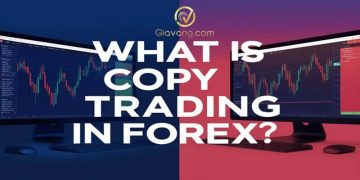 Copy trade forex là gì? Cơ hội và rủi ro bạn cần biết