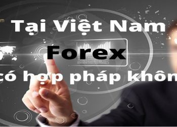 Forex ở Việt Nam có hợp pháp không? Những điều bạn cần hiểu rõ
