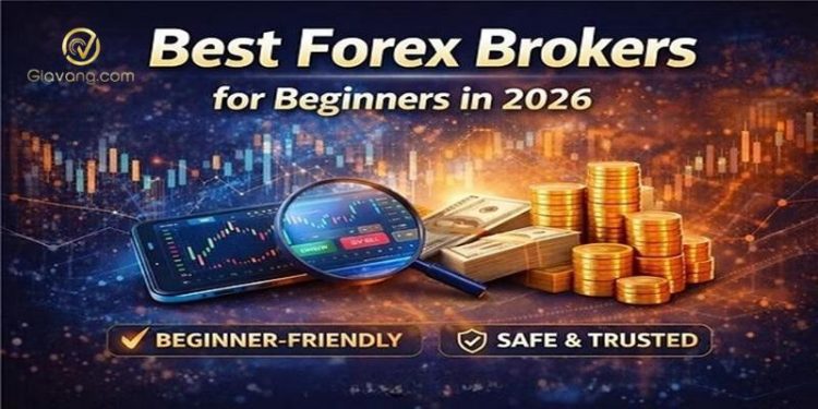 Top 5 sàn Forex đáng tin cậy nhất cho người mới
