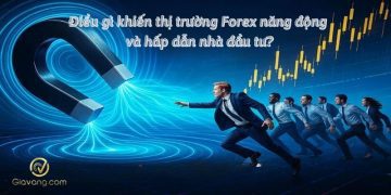 Điều gì khiến thị trường Forex năng động và hấp dẫn nhà đầu tư?