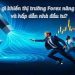 Điều gì khiến thị trường Forex năng động và hấp dẫn nhà đầu tư?